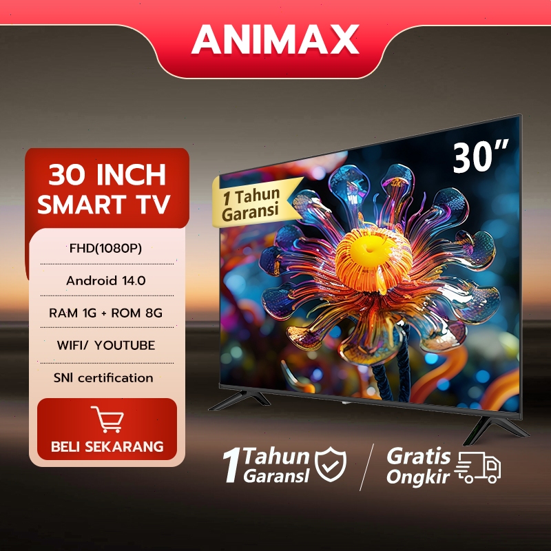 ANIMAX Digital TV LED 27inch 30 inch Android TV LED Smart TV 32/40/43 inch Android 14.0 WEB Browser-