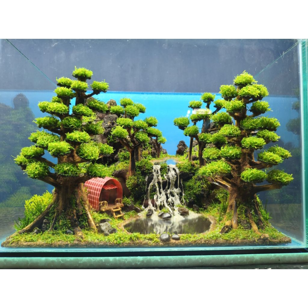 aquascape diorama ukuran 30x20x20cm paket fullset  tema glamping waterfall gratis exstra packing kay