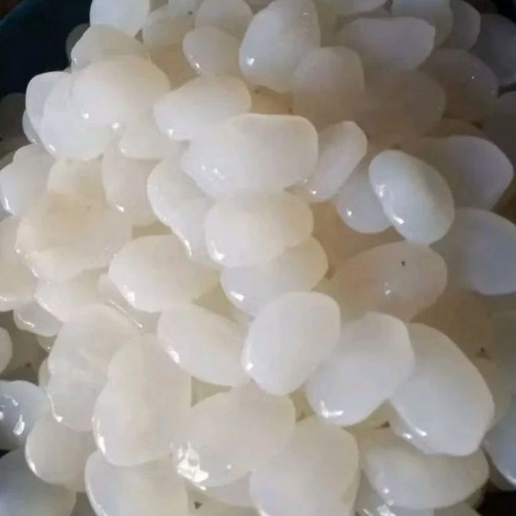 kolang Kaling(buah aren) super banyak manfaatnya