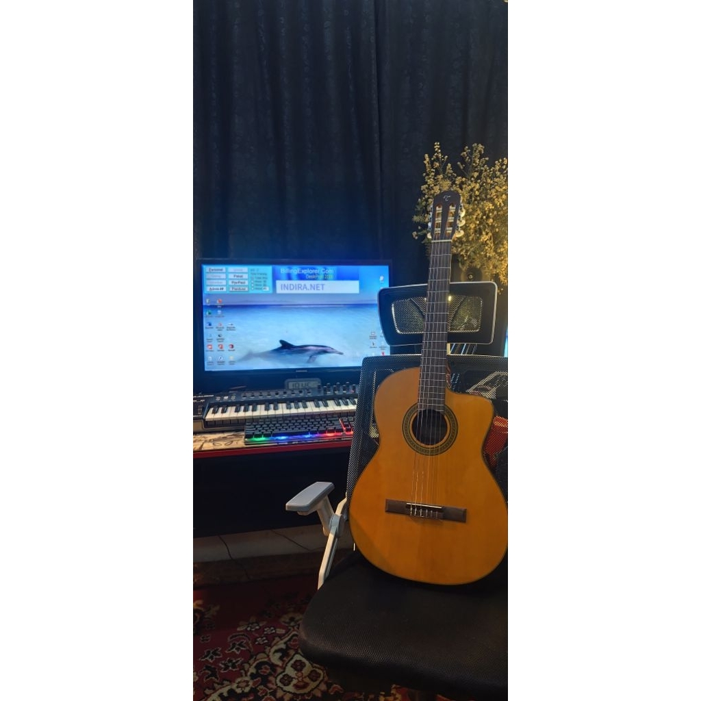 TAKAMINE NYLON GC3CE NAT