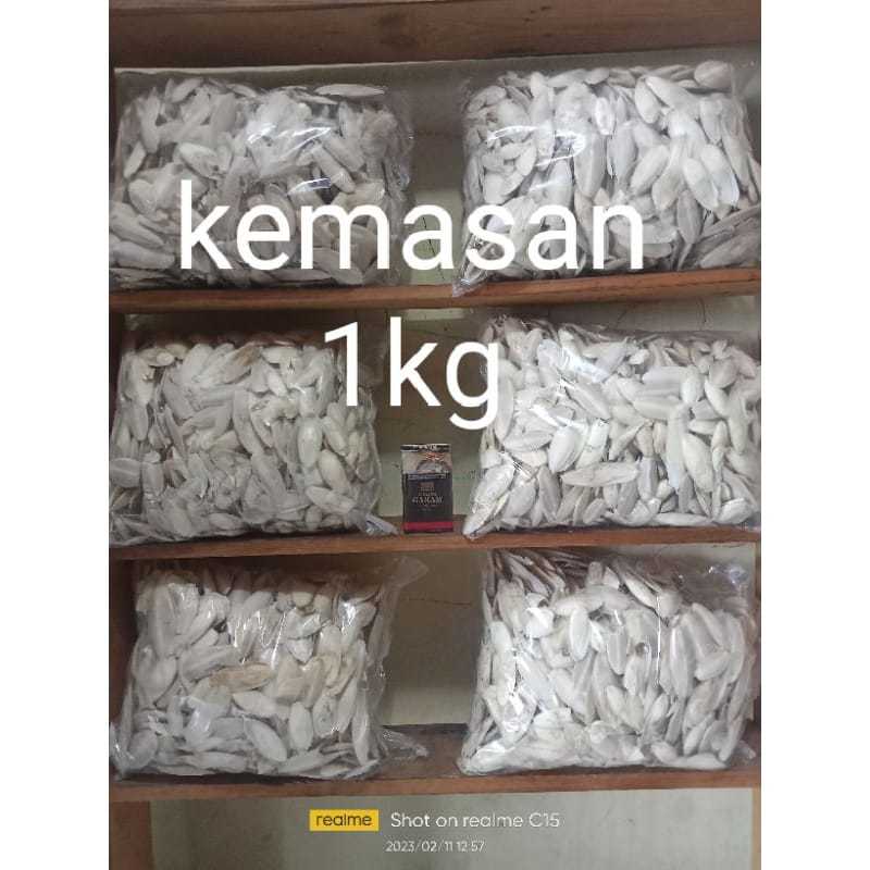 Tulang Sotong Kering 1 Kg Untuk Burung Dan Reptil