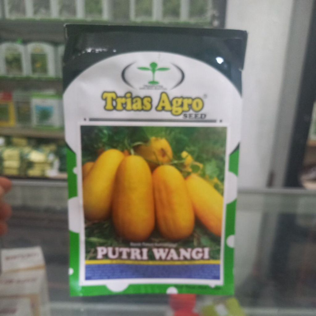Benih Timun Suri Putri Wangi 10 gr