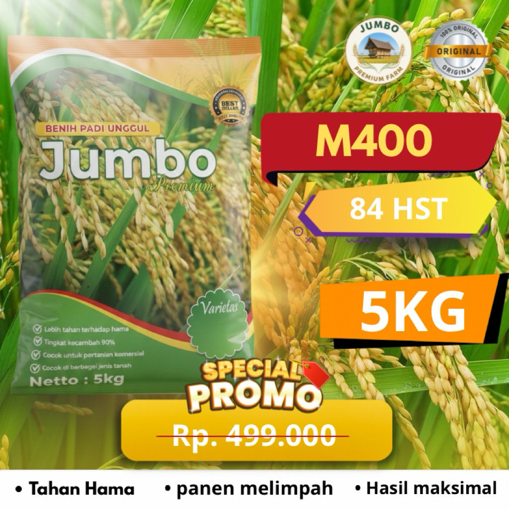 Benih padi M400 benih padi unggul original jumbo premium benih padi berkualitas