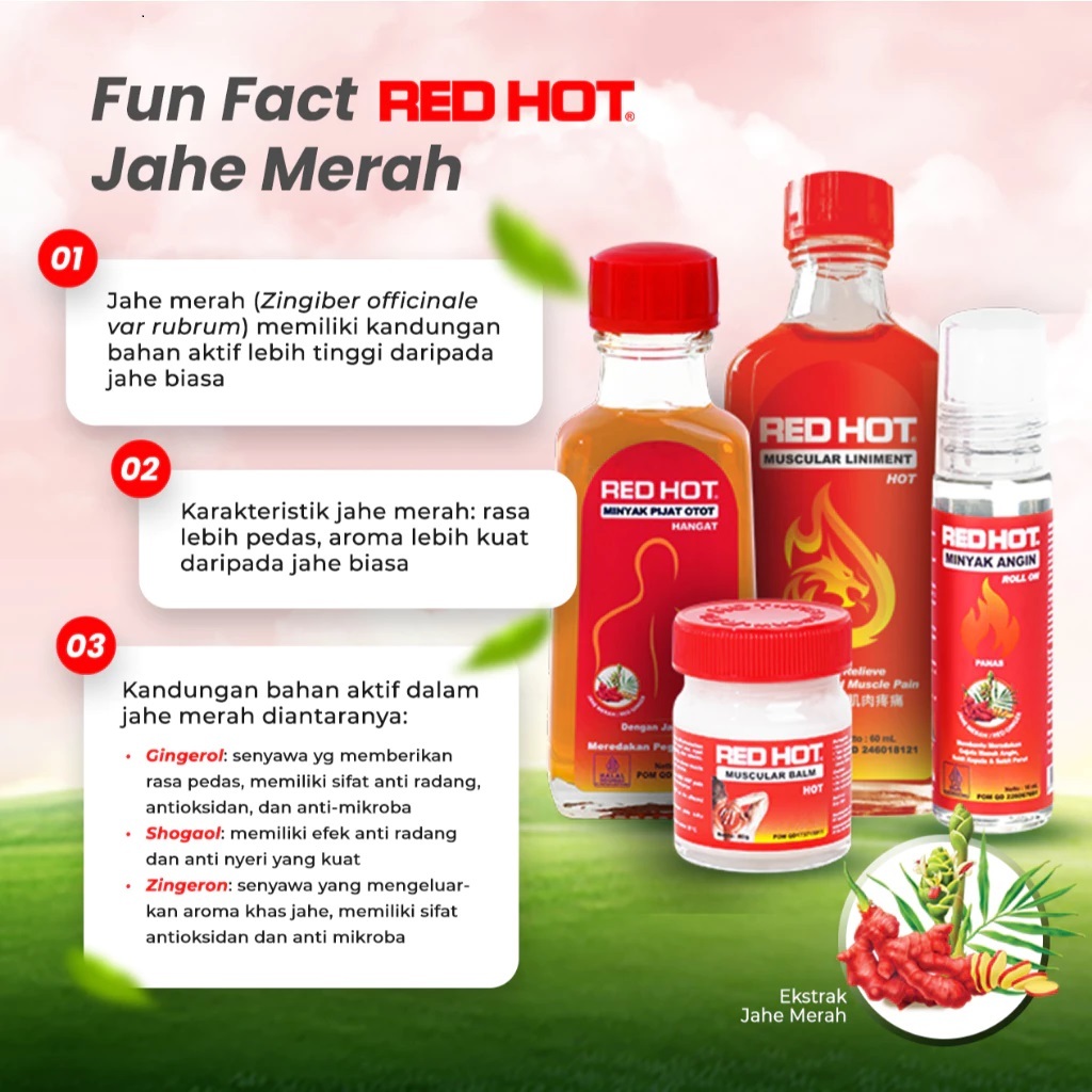 RED HOT Minyak Pijat Otot Hangat Jahe Merah