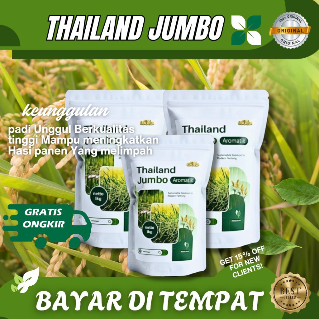 Terbaru Paket Benih padi unggul THAILAND JUMBO 2-3 Kg padi Thailand jumbo