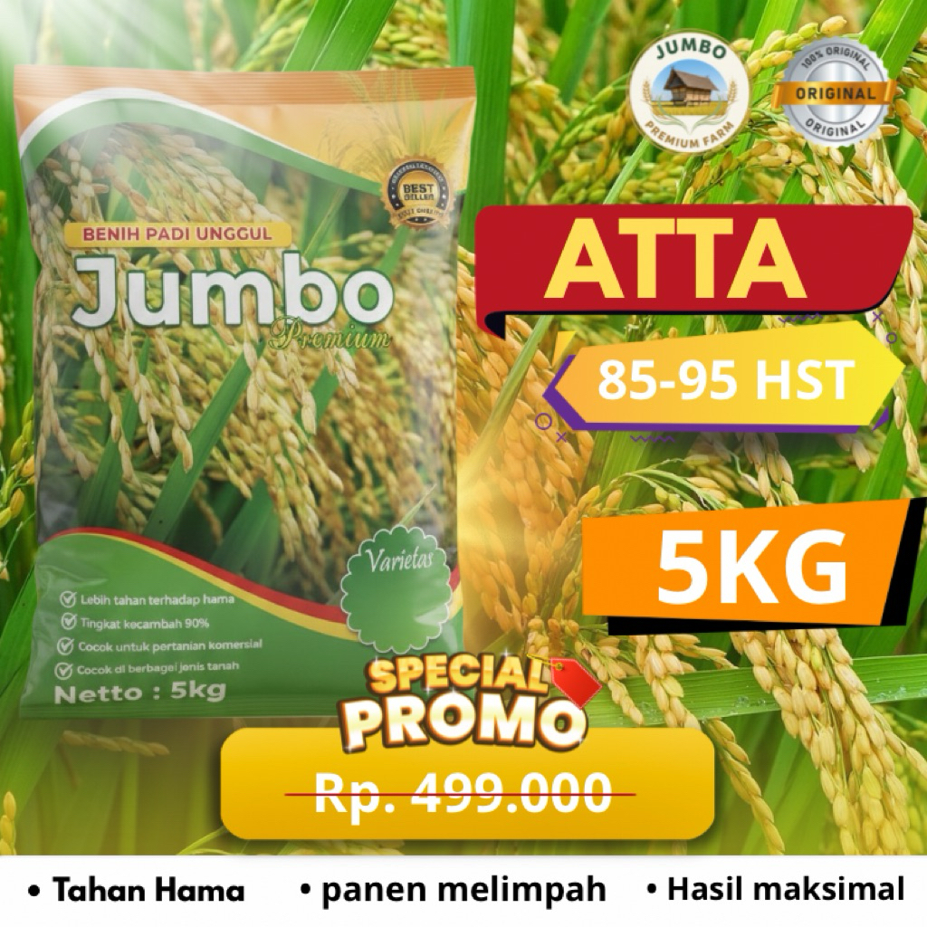 Benih padi ATTA benih padi unggul original jumbo premium benih padi berkualitas