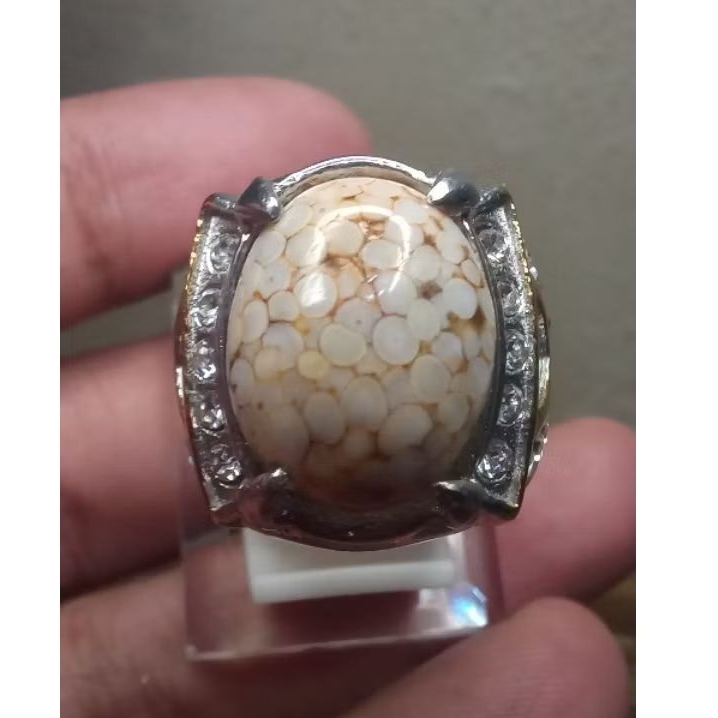 Batu Sisik Ular Jipen