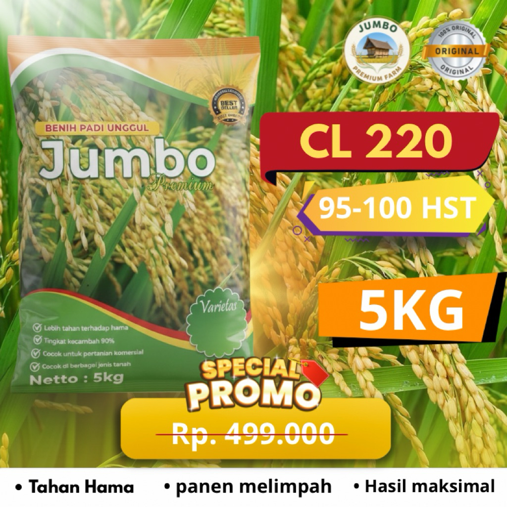 Benih padi CL 220 benih padi unggul original jumbo premium benih padi berkualitas