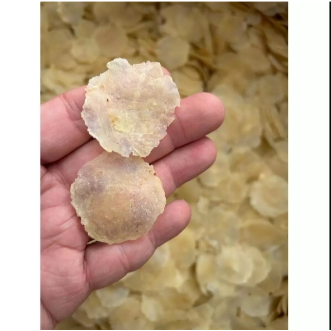 EMPING MELINJO MINI TIPIS 500gr , EMPING  MINI PULAU , KRUPUK EMPING MELINJO TIPIS , EMPING KALIMANT
