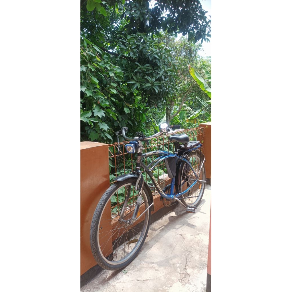 Sepeda Cruiser Wimcycle Campus