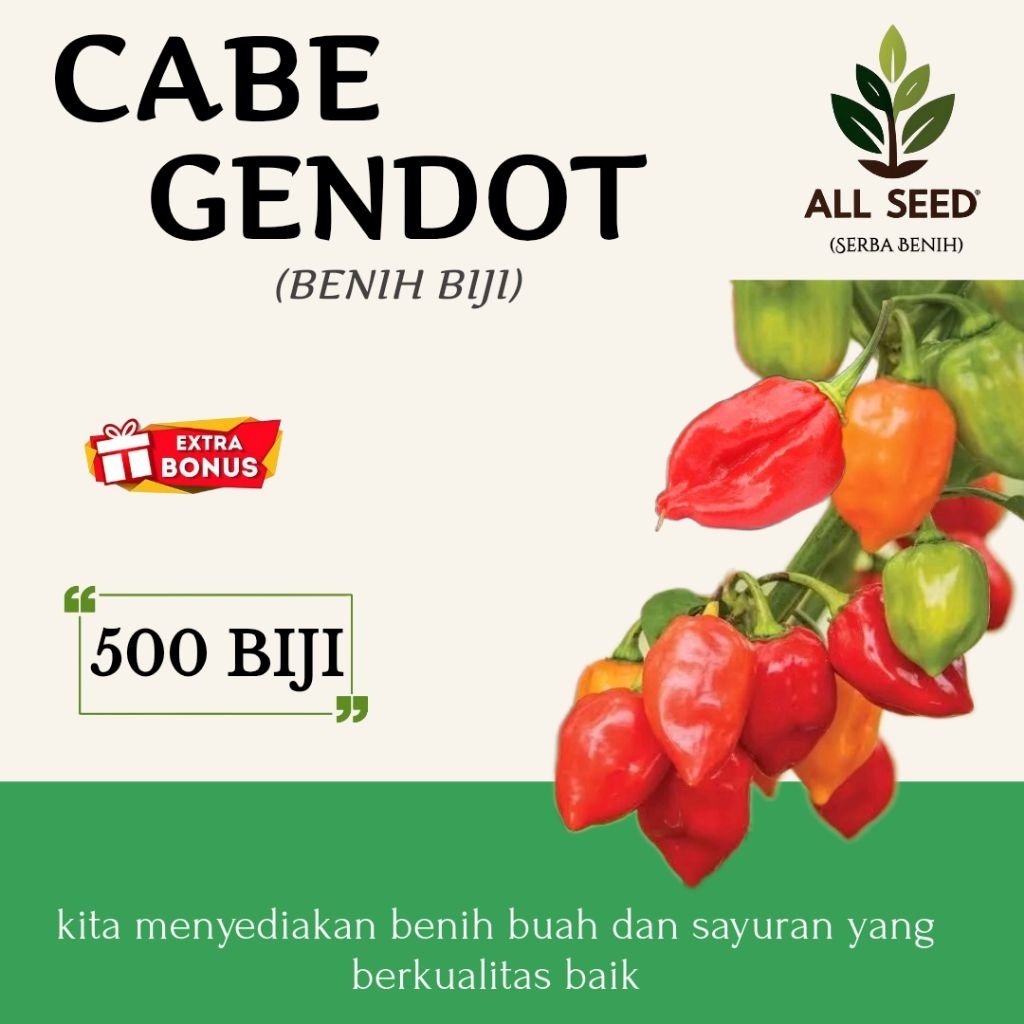 ( 500 biji ) Benih cabe gendot | bibit biji cabe setan gendot | cabe terpedas
