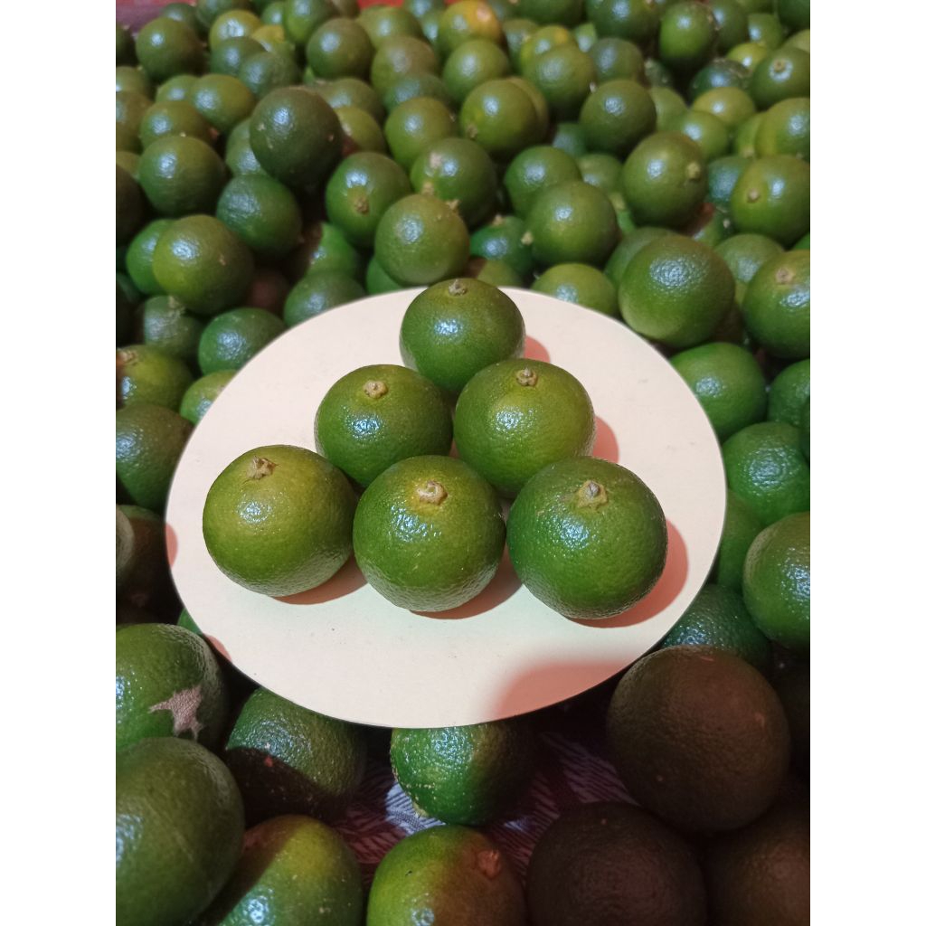 1.kg Jeruk Sonkit Jeruk Kasturi Jeruk Kunci