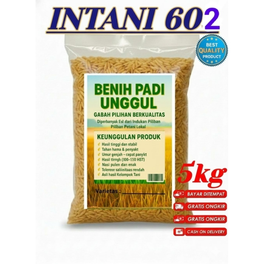 5KG BENIH BIBIT PADI HIBRIDA INTANI 602 SUPER