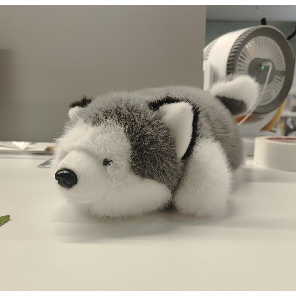 Miniso Boneka Anjing Husky Berbaring - Furry Collection 14in. Lying Posture Plush Toy