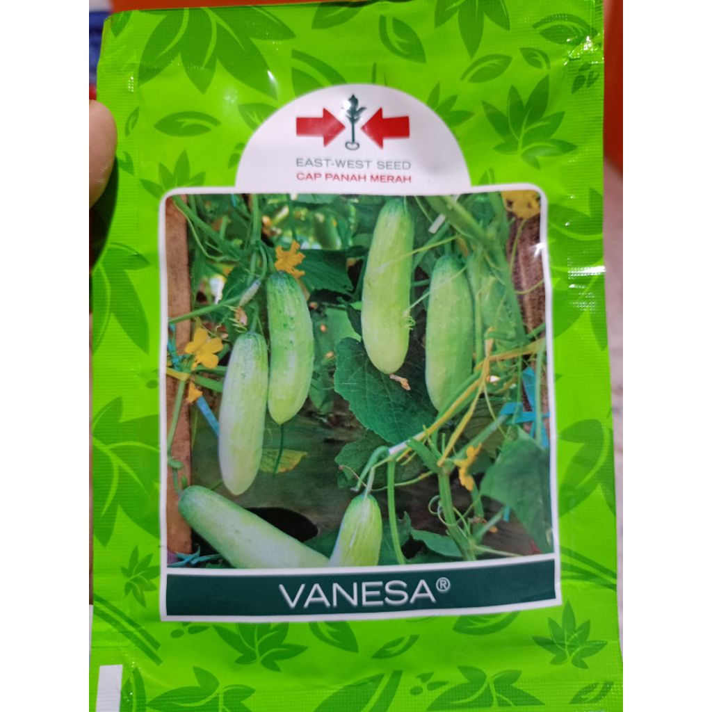 benih timun vanesa isi 20 gram cap panah merah
