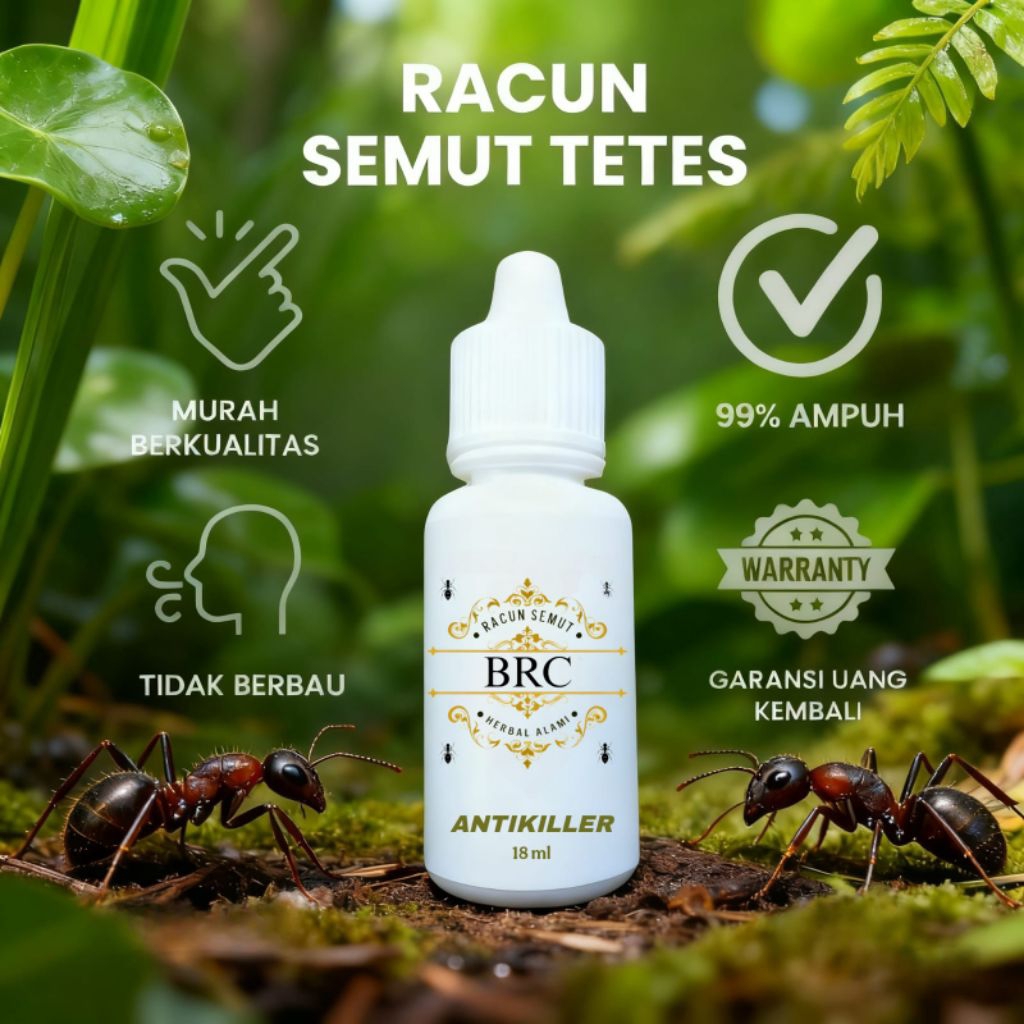 Racun semut super ampuh basmi semut sampai ke sarang