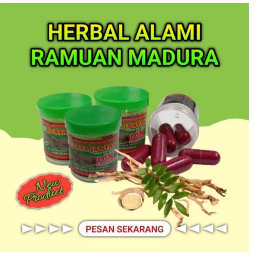 kapsul kuat pria tahan lama kapsul herbal buaya jantan botol isi 6 kapsul / Kapsul Buaya Jantan Kuat