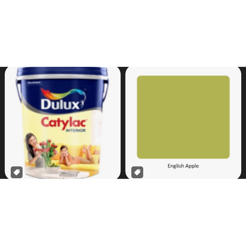 custom made order catylac interior 5kg 5 kg english apple warna hijau pandan warna hijau cat tembok 