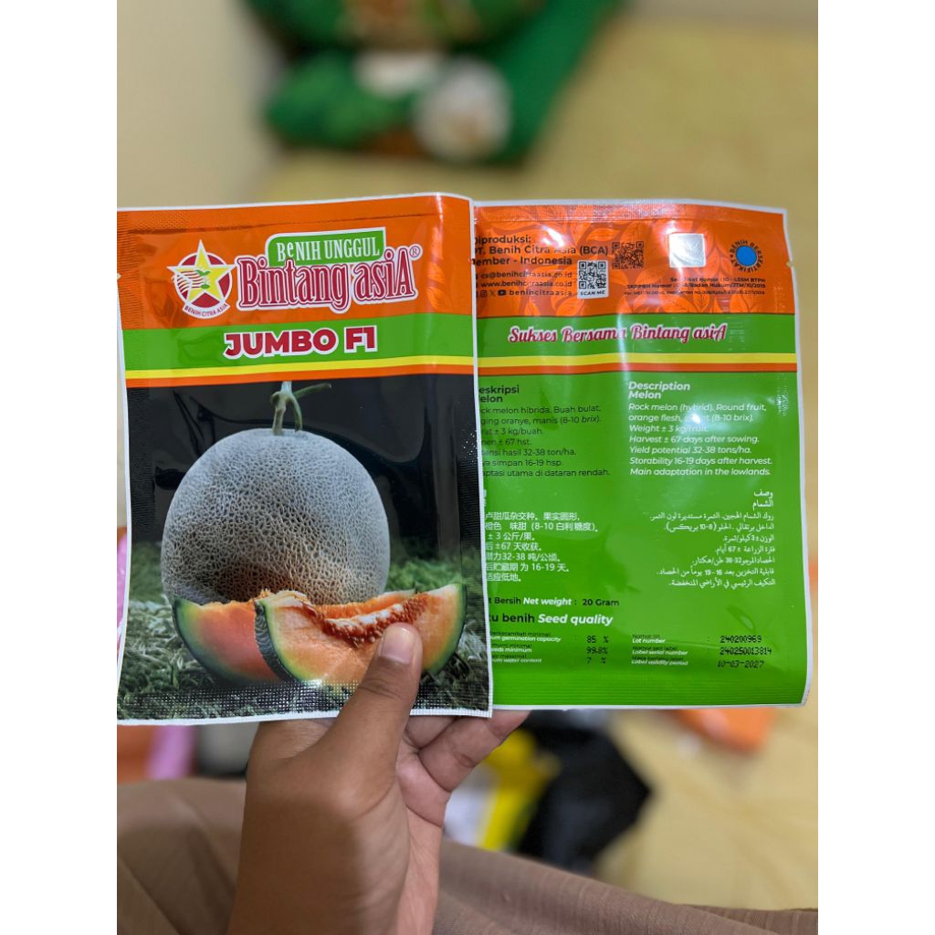 Benih Melon Jumbo f1 daging Oren Bintang Asia