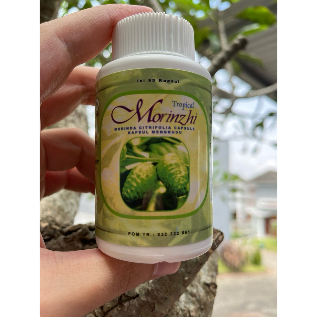 DXN Morinzhi Dxn Saripati Buah Mengkudu Mengandung Zat Nutrisi Terpenoid Zat Anti Bakteri Scolopetin