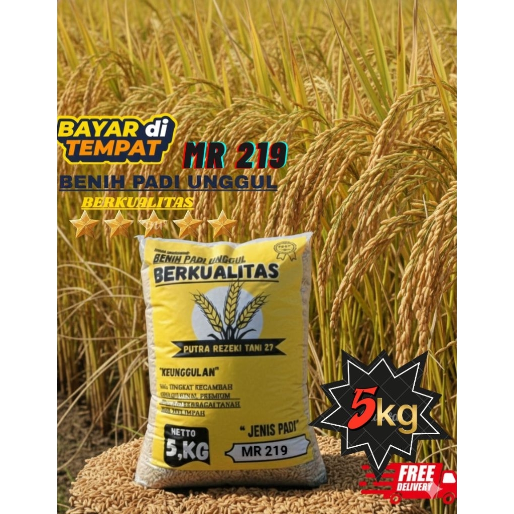 Benih padi/bibit padi unggul MR 219 kemasan 5kg (95 Hst)