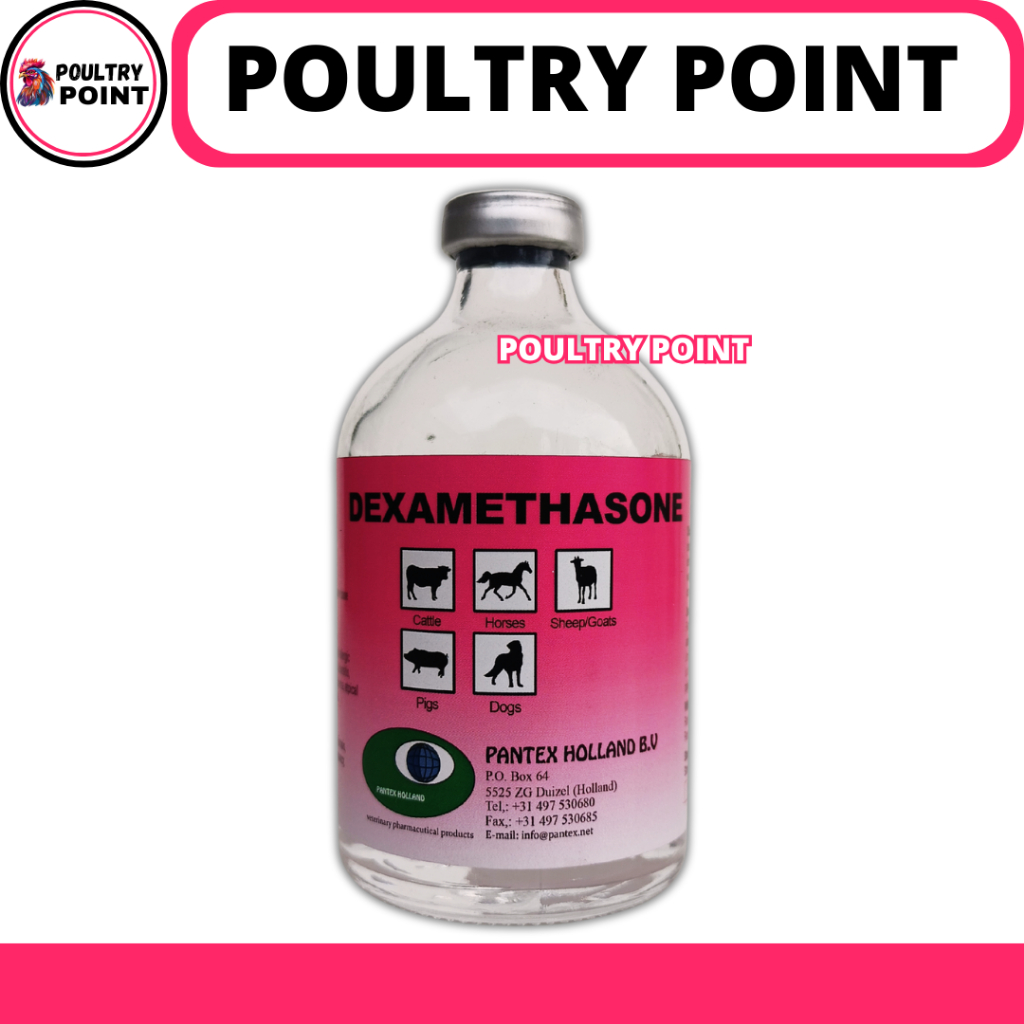 PANTEX DEXAMETHASONE 100ML - Obat Anti Inflamasi Hewan - Pantex Holland - Obat Sapi - Obat Kambing