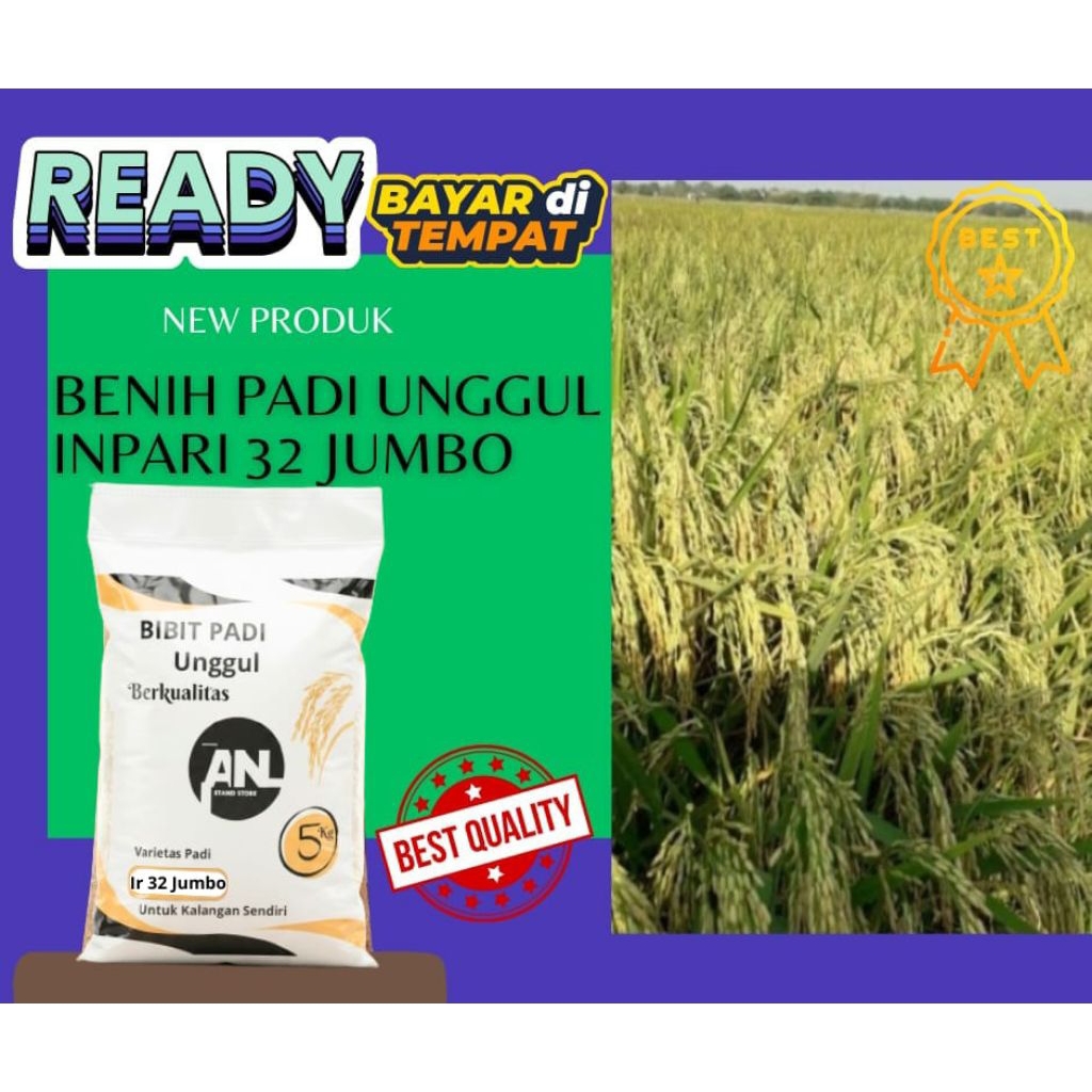 Benih Padi Unggul Inpari 32 Jumbo Original Premium Kemasan 5 Kg