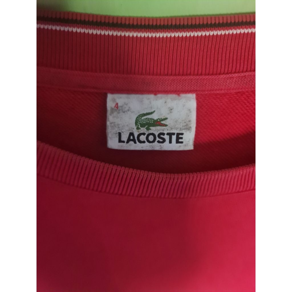 sweater lacoste