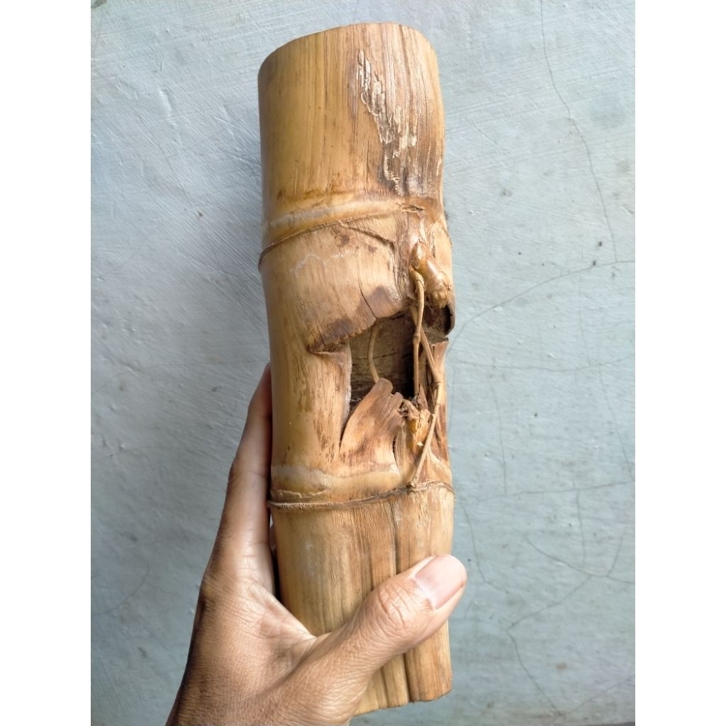 BAMBU UNIK PETUK JALU RAJUT SUKMO BATANG UTAMA (25 CM) APUS ISTIMEWA