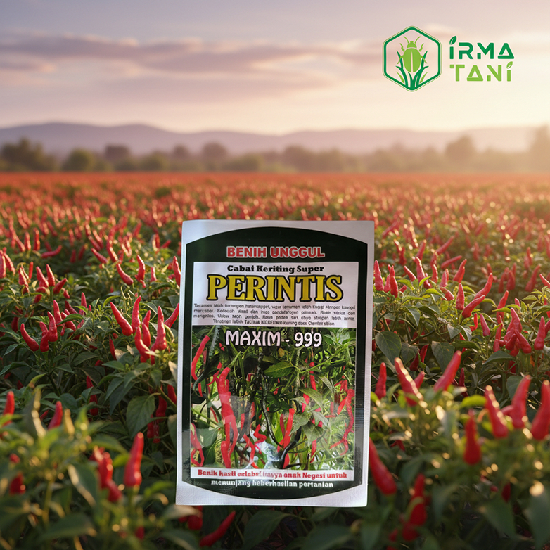 CABE KERITING SUPER PERINTIS MAXIM 999 - 5 Gram