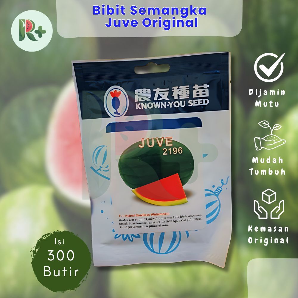 BIBIT/BENIH SEMANGKA OVAL JUVE BUAH BESAR DAN RASANYA MANIS COCOK DI TANAM DI DARATAN DAN PERSAWAHAN