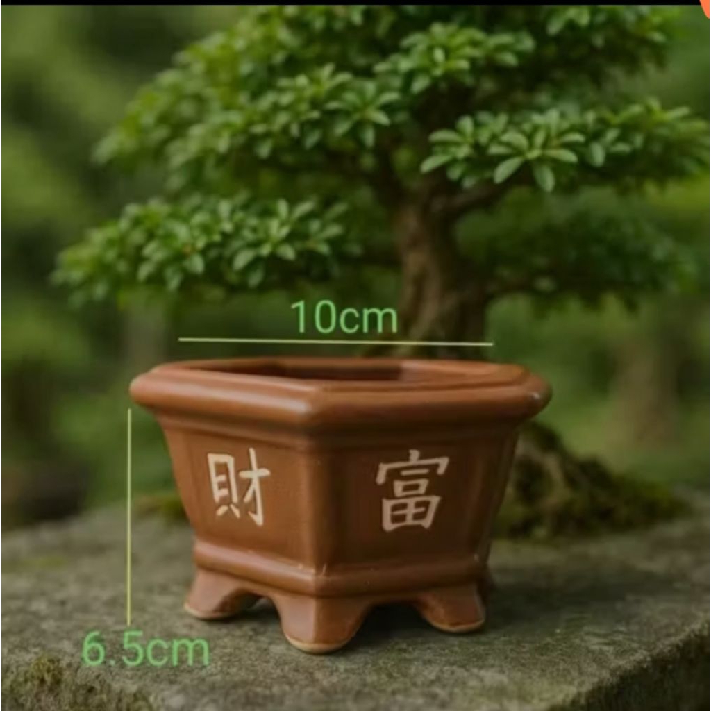 Pot Keramik Pohon Bonsai / Pot Bonsai Keramik Pot Tanaman Hias