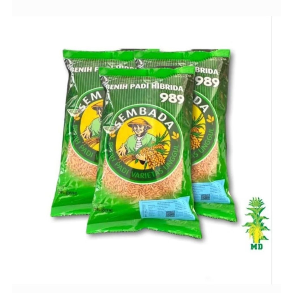 1KG BENIH PADI HIBRIDA SEMBADA 989 100% ORIGINAL