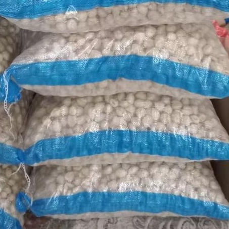 Kemiri Bulat Kemasan Karung 10kg