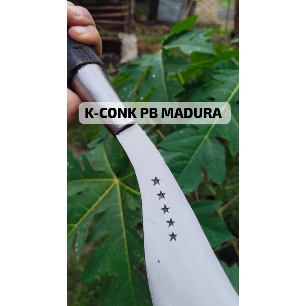 arit/sabit rumput tradisional asli baja