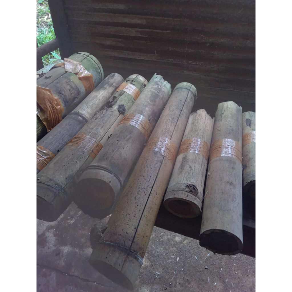 BiBit lebah klanceng ruasan