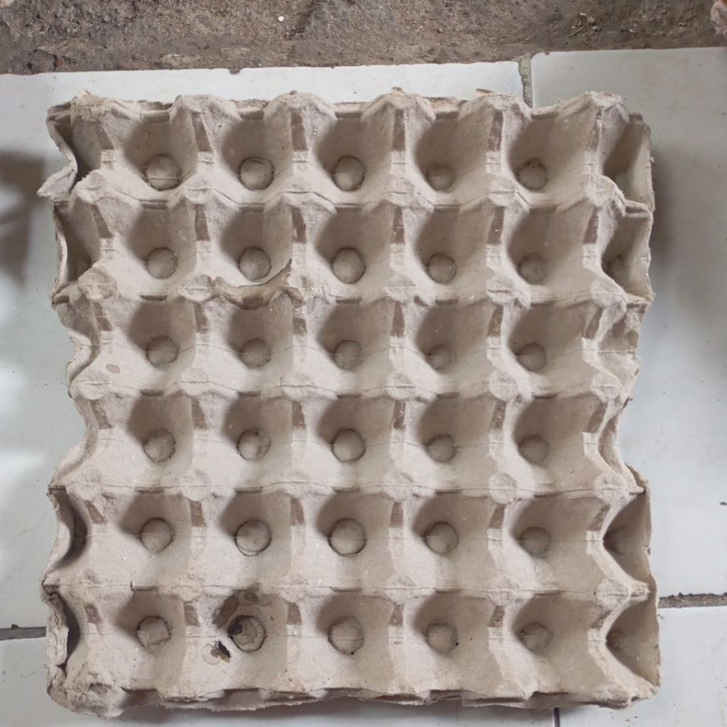 tray telur bekas murah soltir