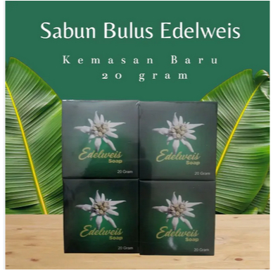 Sabun Beauty Natural Edelweis 20gr Sabun Bulus/payudara Sabun Gatal