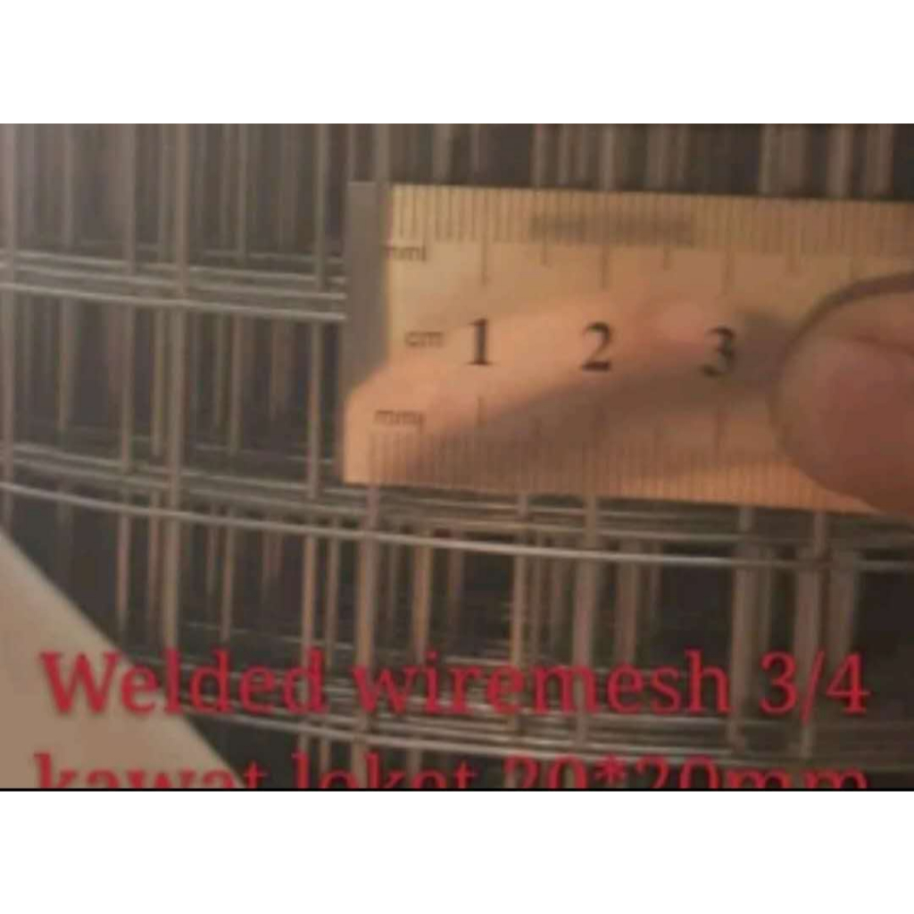 Welded Wire Mesh Kawat Loket 3/4 (20mm x 20mm)