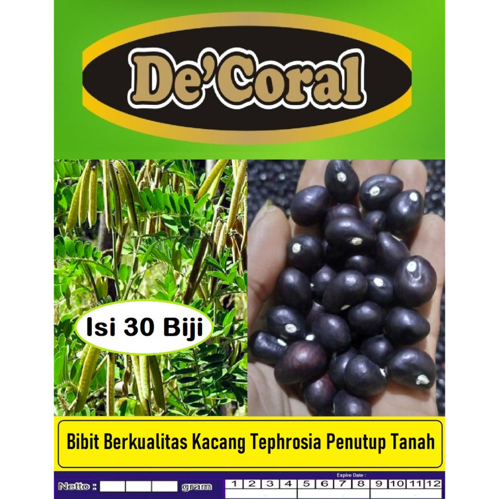 Bibit Berkualitas Kacang Tephrosia Penutup Tanah | Biji Benih Kacang Tephrosia Penutup Tanah | Kacan