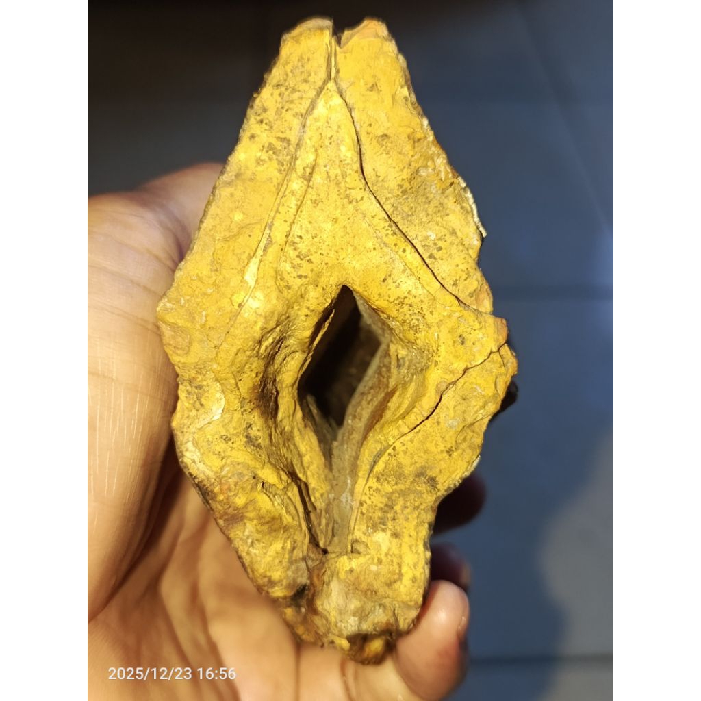 Akik Raflesia Combong Antik Unik Bisa Buat Naruh Dupa/Asbak