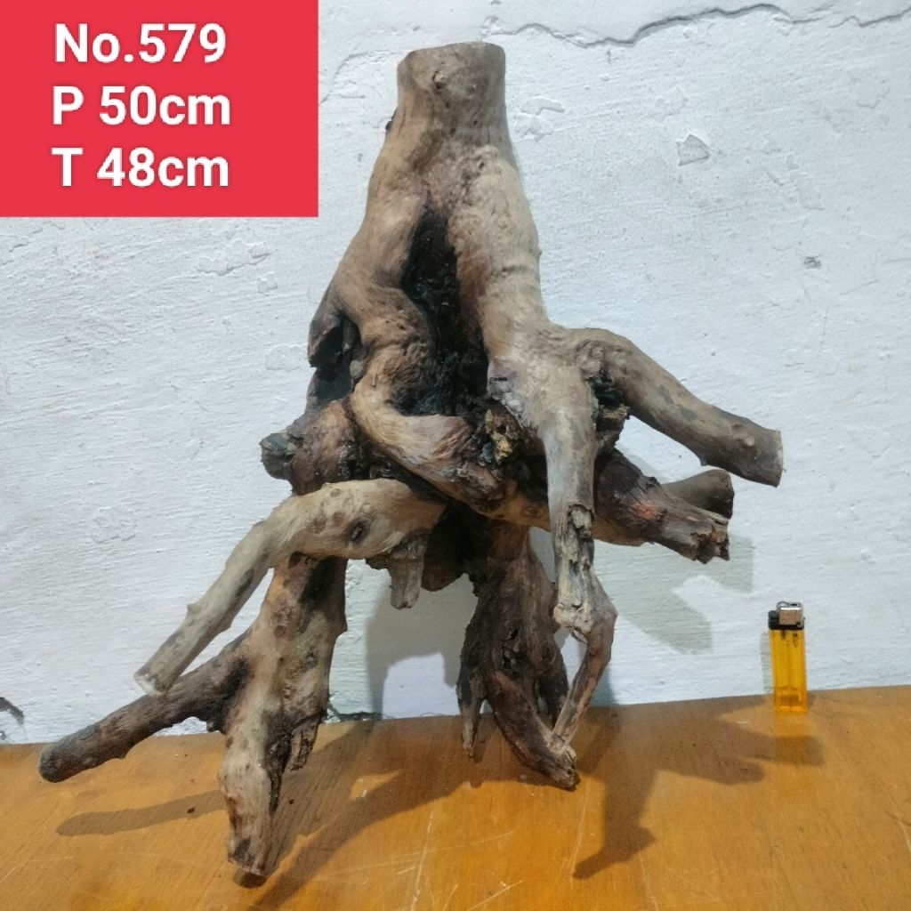 bonggol akar santigi laut kayu dekorasi aquascape aquarium 579