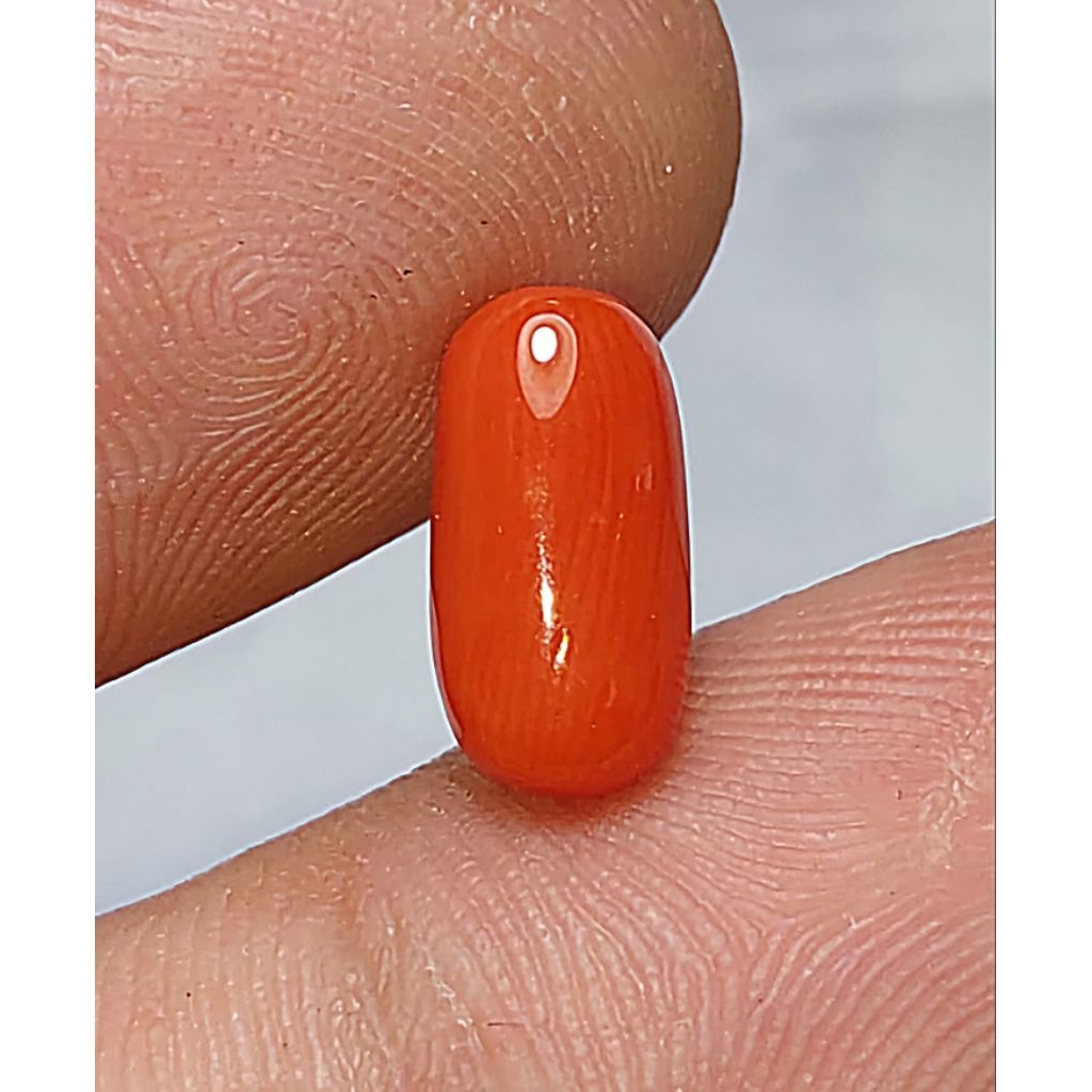 BATU MARJAN asli Laut MEDITERANIA kualitas super kristalsuper proslen #NTE ..alami 100% pori pori ra