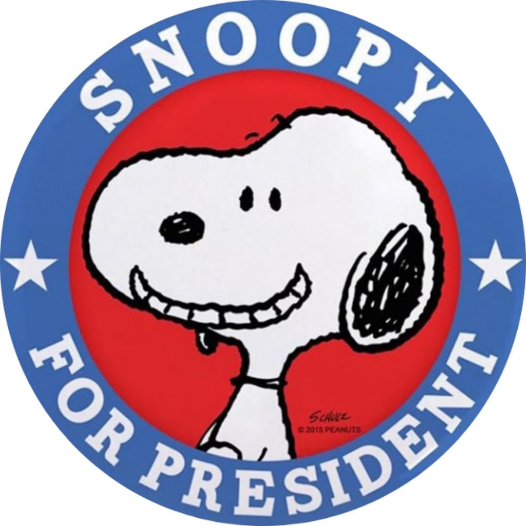 Baju Snoopy anak anak