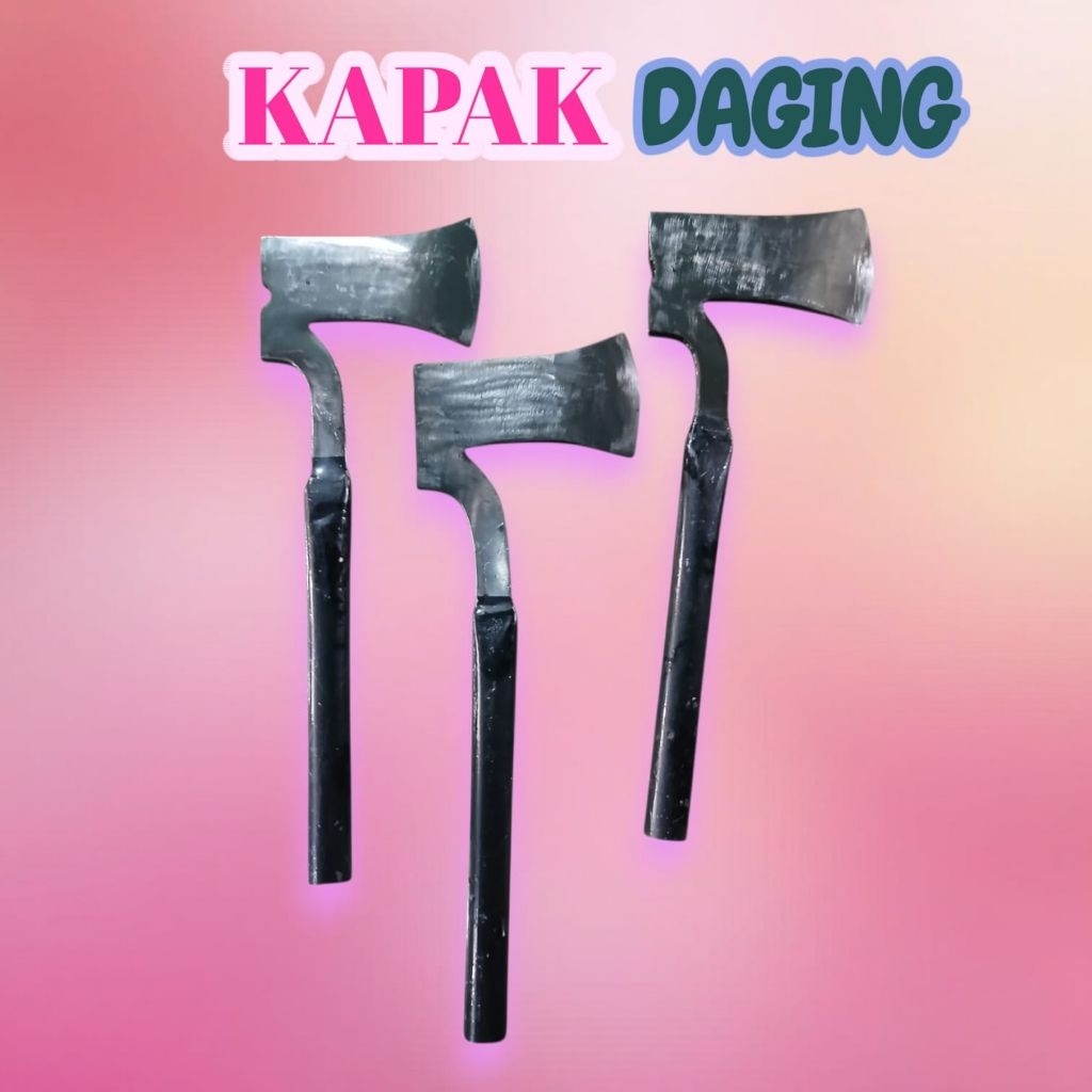 KAPAK DAGING / KELAPA, BERBAGAI MANFAAT BISA