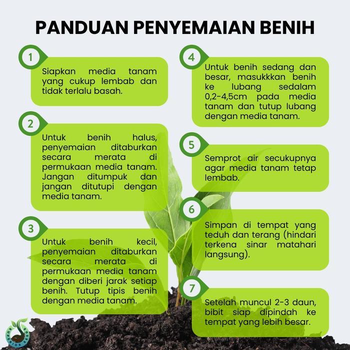 Koralineshop Biji Benih Buah Ceri Kersen (Superior Seeds)