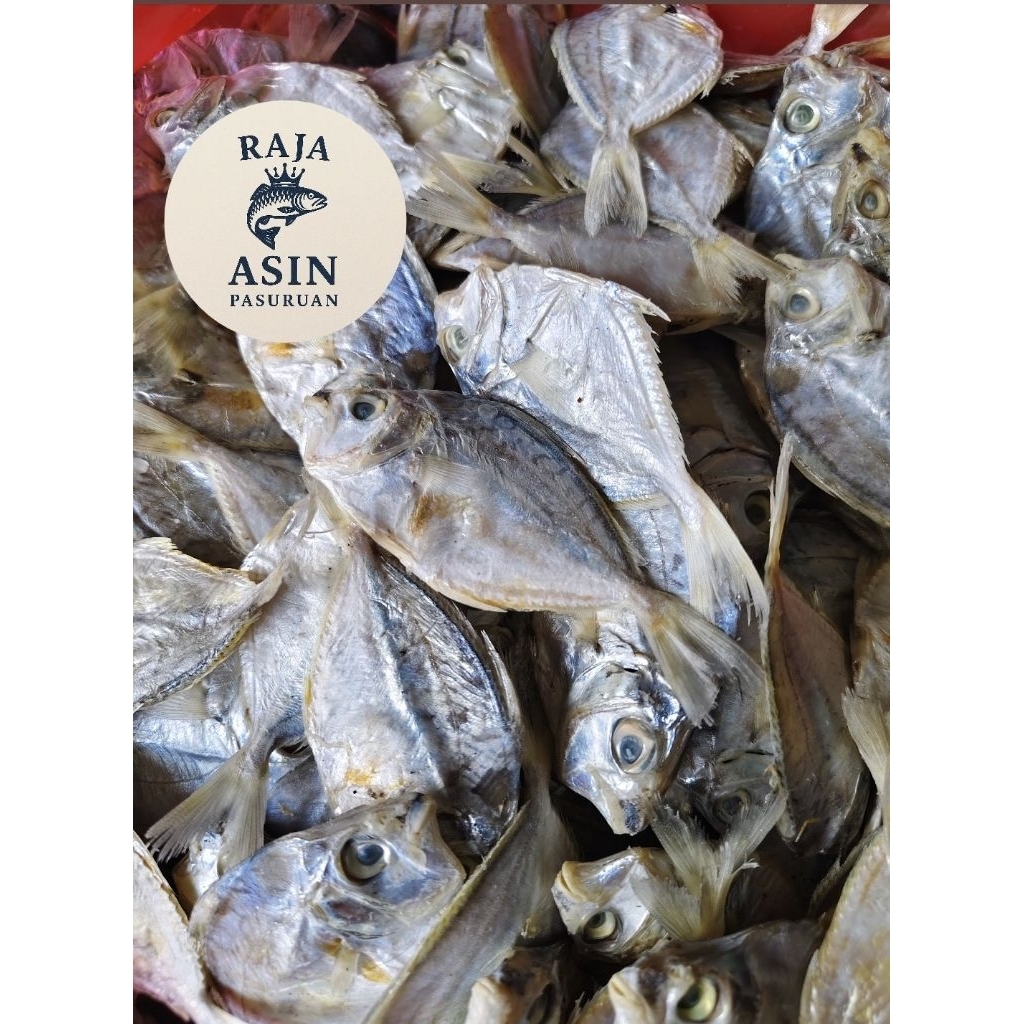 IKAN ASIN BESAR DODOK / KEMPAR