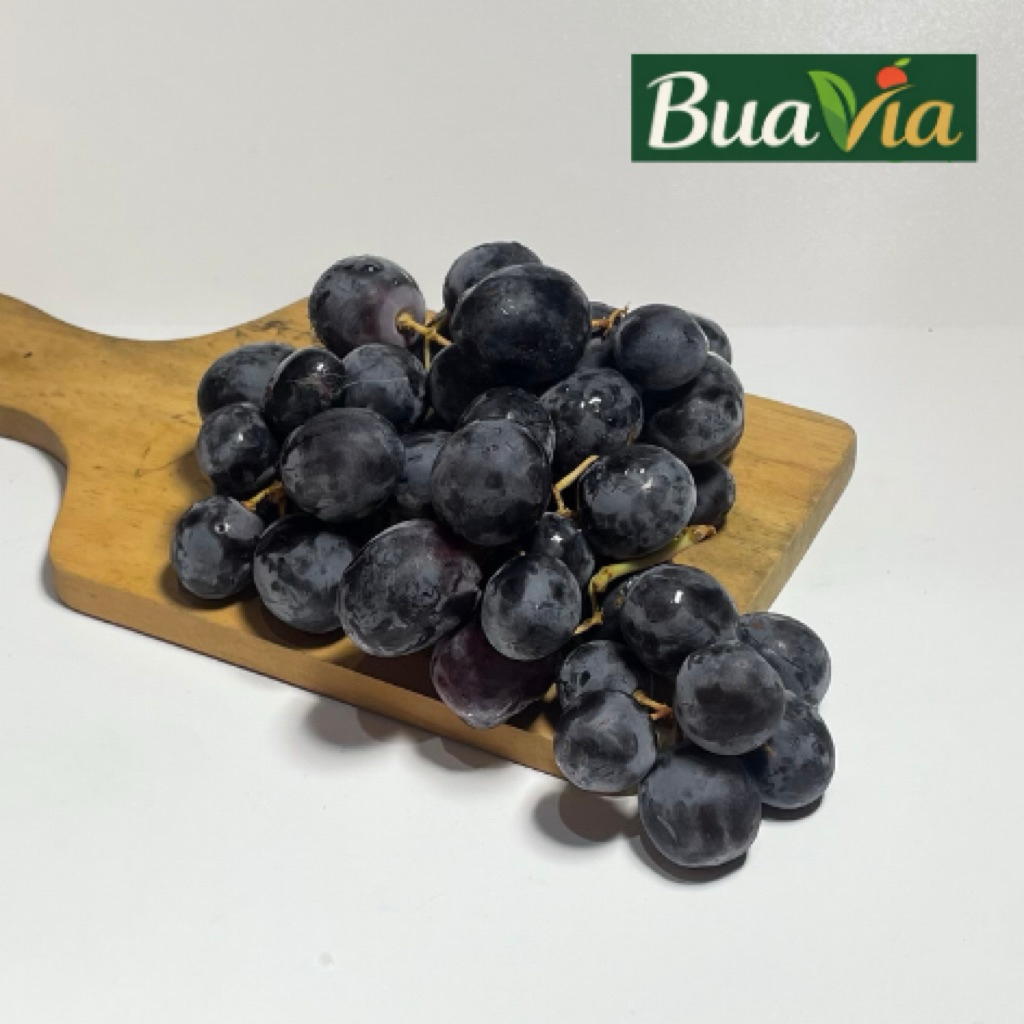 ANGGUR HITAM NON BIJI / BLACK SEEDLESS / SUMMER ROYAL / AUTUMN GRAPES