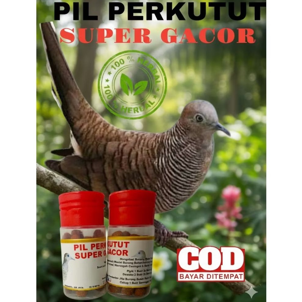 JAMU PIL PERKUTUT SUPER GACOR DOPING PERKUTUT MULTIVITAMIN (60 butir) SOLUSI BURUNG BAHAN MALAS BUNY