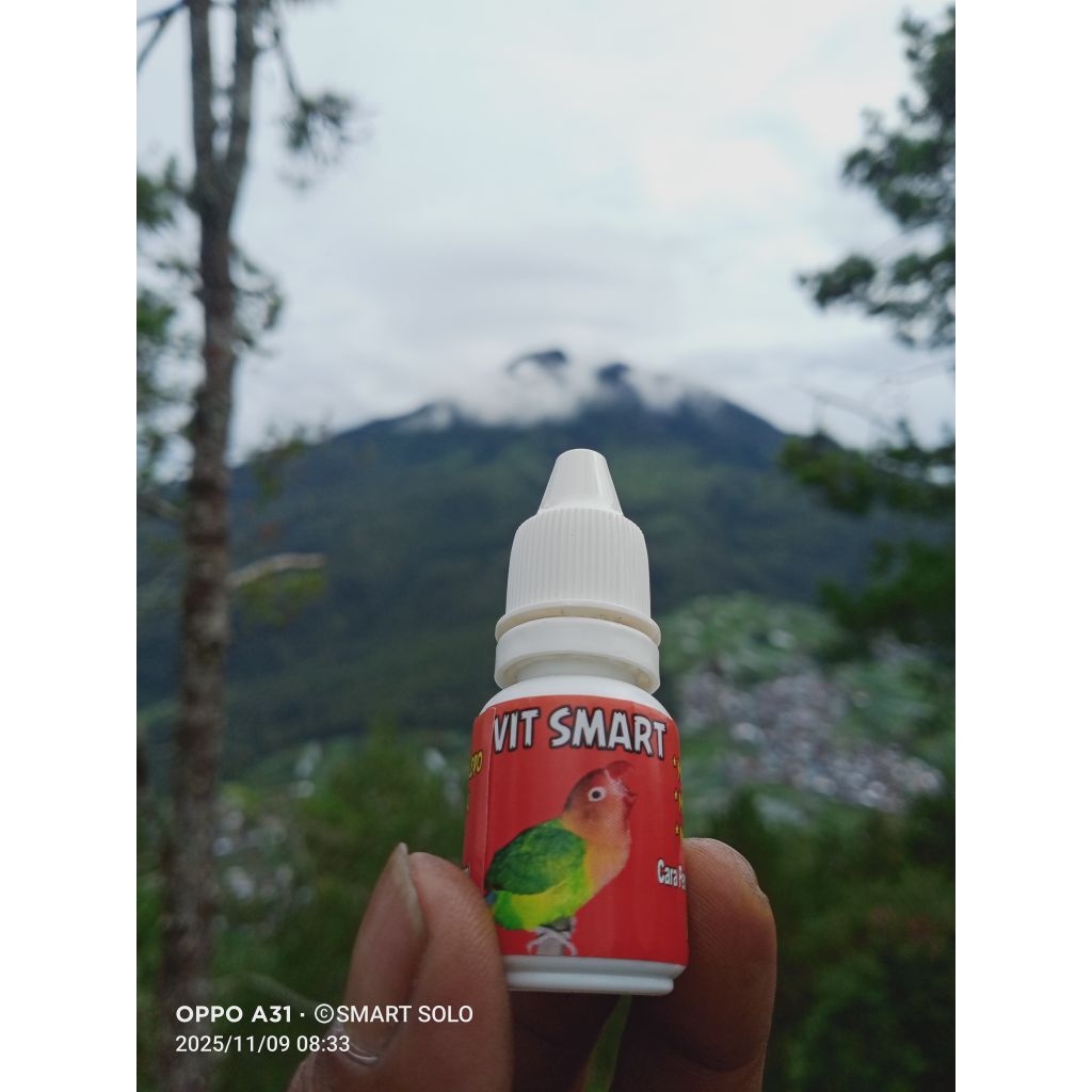 VIT SMART KHUSUS LOVEBIRD PAUD